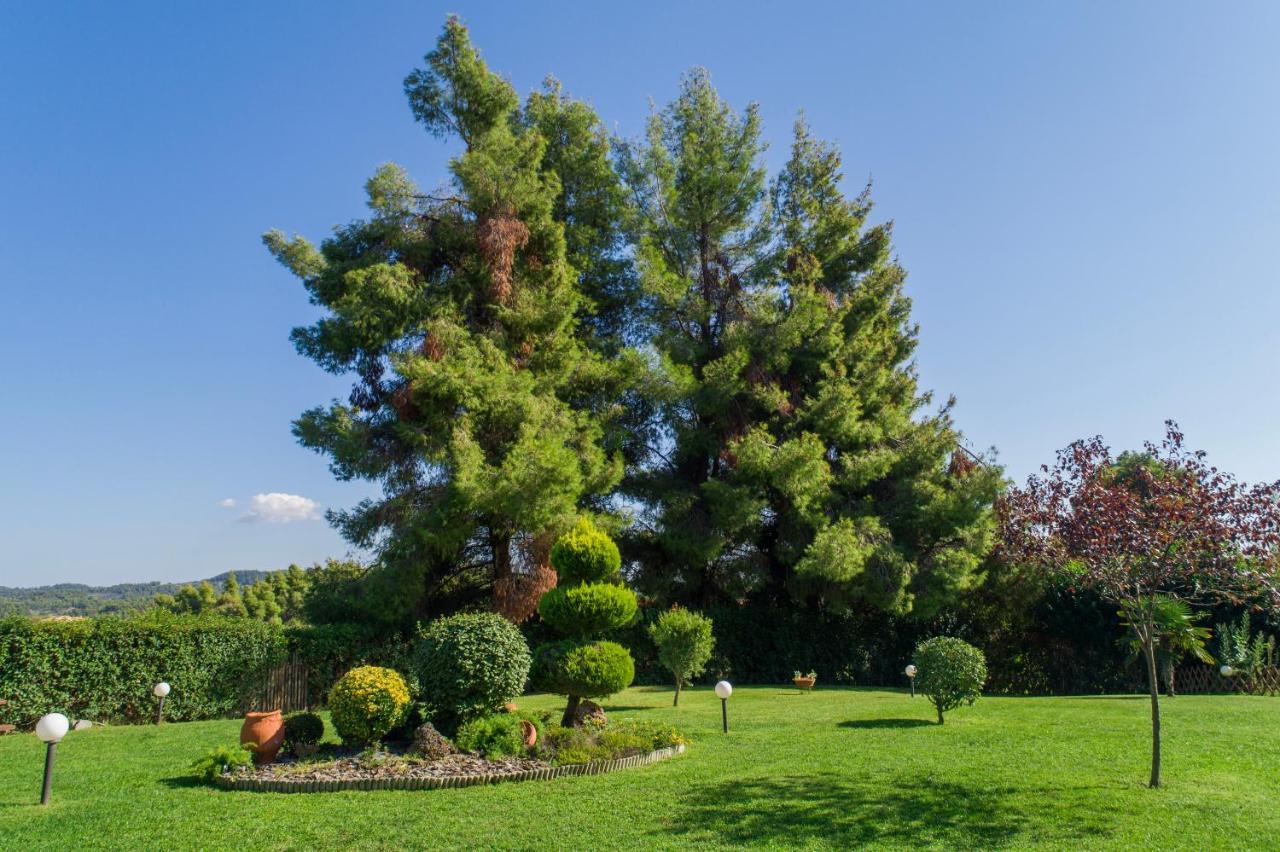 Villa Katerina Siviri Buitenkant foto
